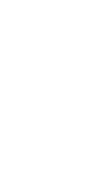 Notre Dame de Sion Grade School banner logo