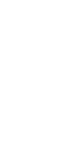 Notre Dame de Sion Grade School banner logo