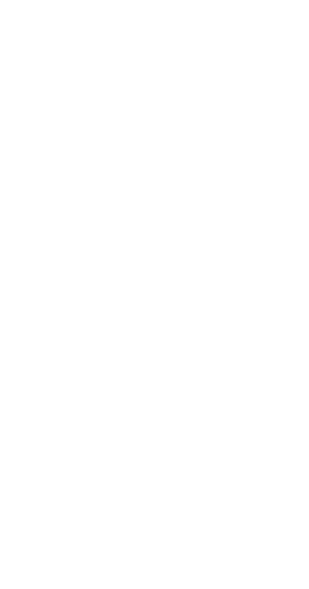 Notre Dame de Sion Grade School banner logo